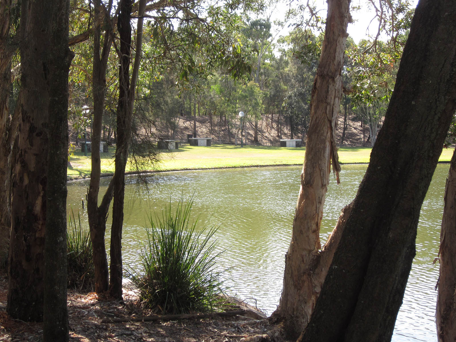A tranquil setting for a BBQ A tranquil setting for a BBQ
