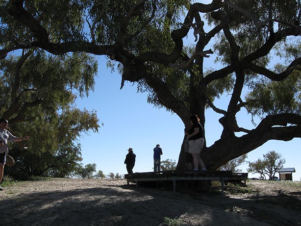 Creating experiences in a sustainable manner Creating experiences in a sustainable manner